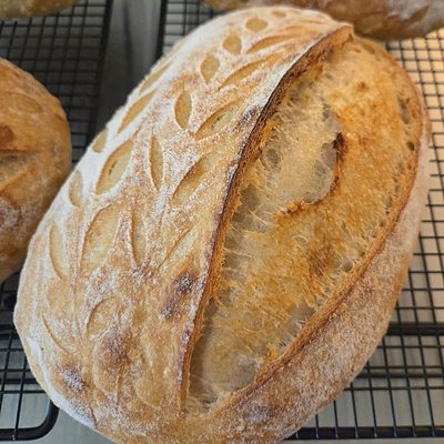  Artisanal Sourdough - Classic Plain Loaf