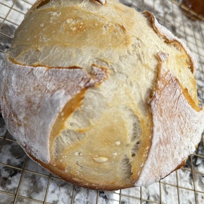 Sourdough 