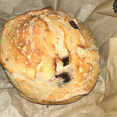 Fresh Blueberry Artisan Bread 