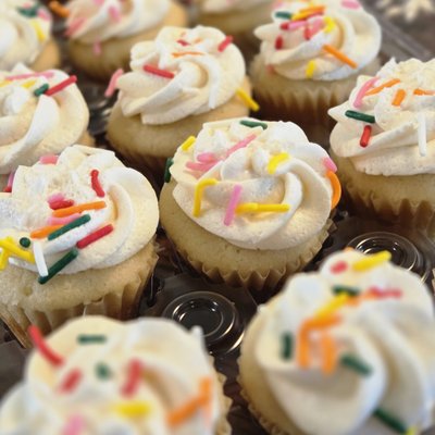 Classic Vanilla Cupcakes