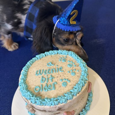 Dog Cakes