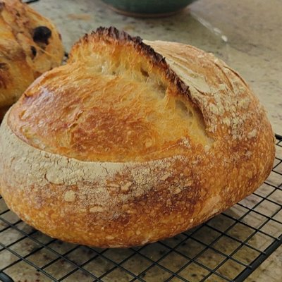Sourdough Round