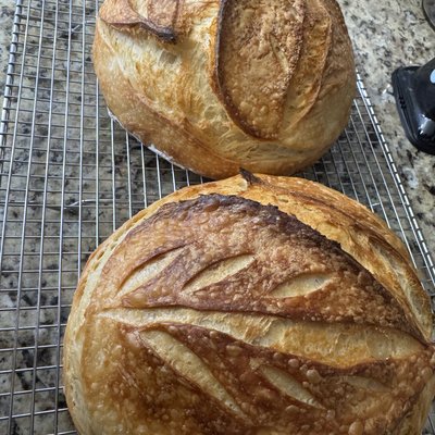 Classic Organic Sourdough Loaf