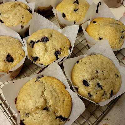 Sourdough Chocolate Chip Muffins Dozen 