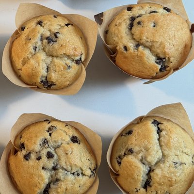 Chocolate Chip Sourdough Muffins