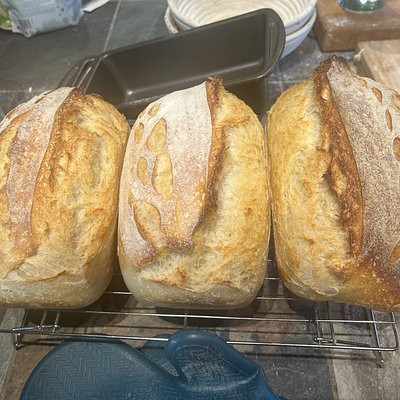 Regular Sourdough Loaf