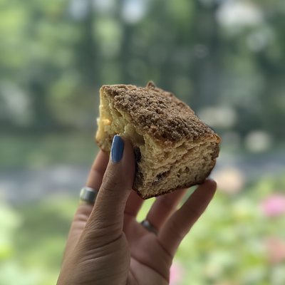 Sourdough Coffee Cake