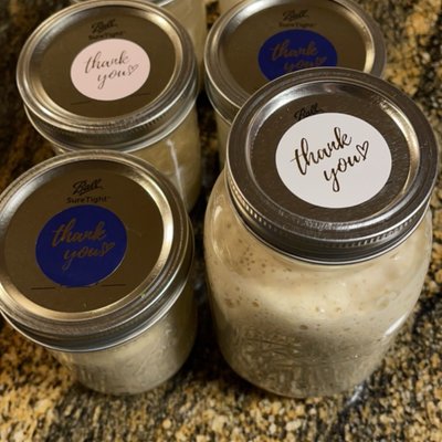 Sourdough Starter 