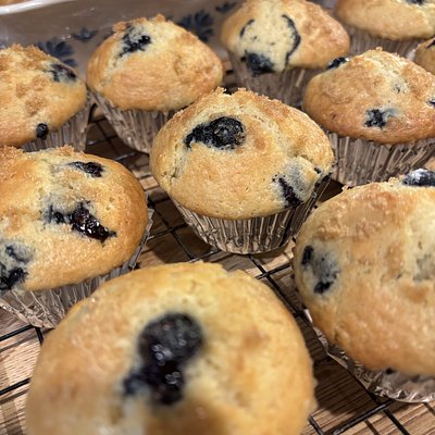 Classic Muffins-6ct