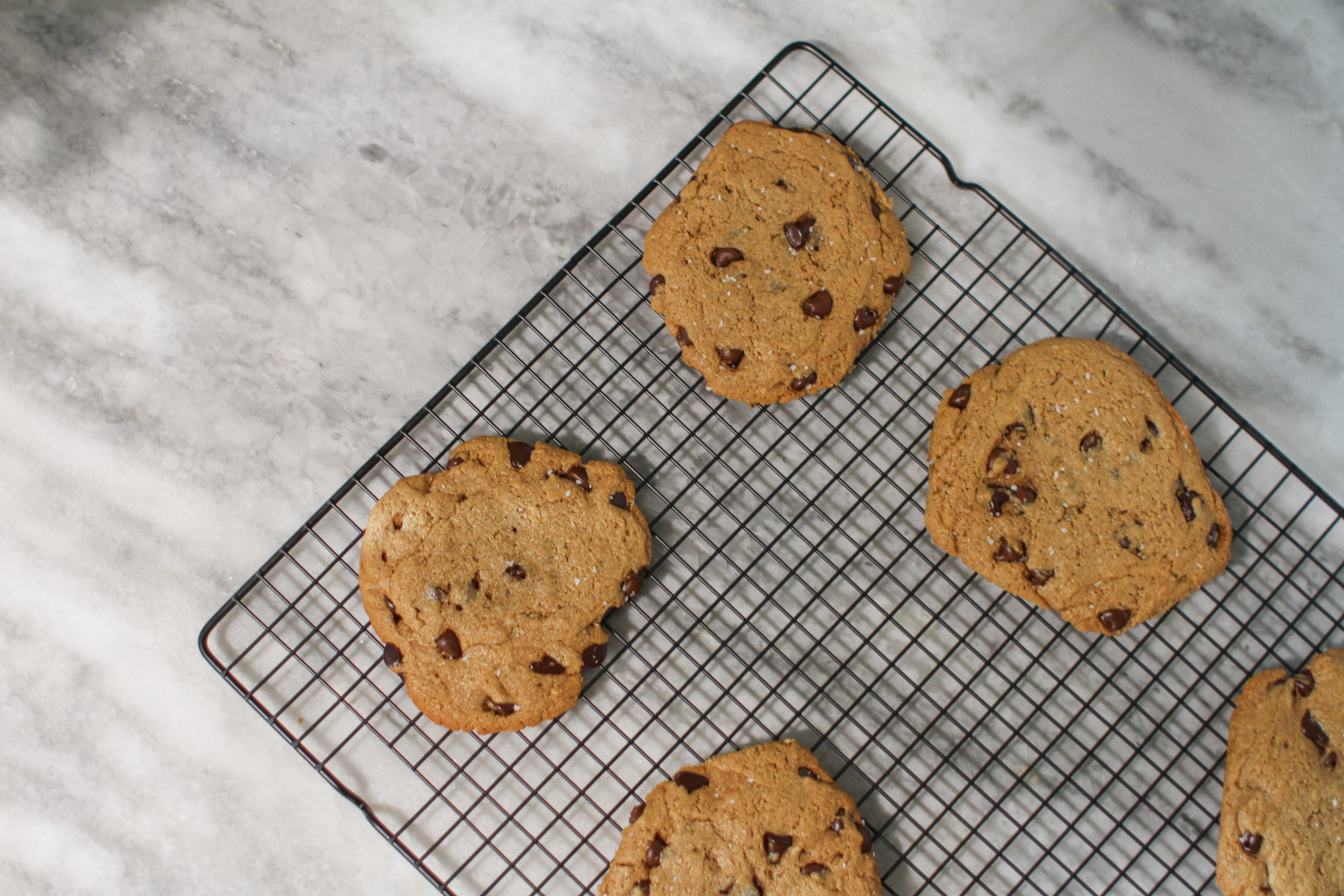 One Dozen Chocolate Chip Cookies 