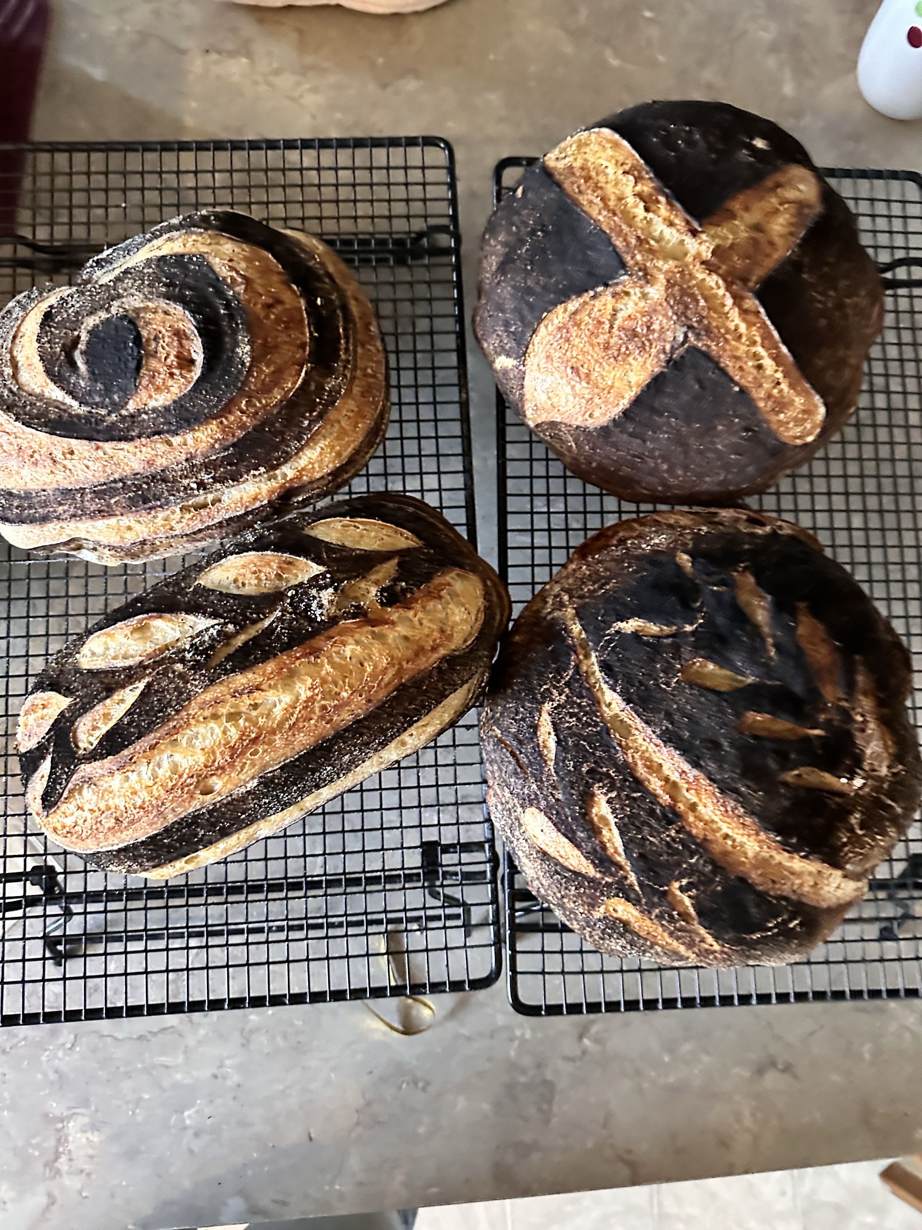 Sour Dough 