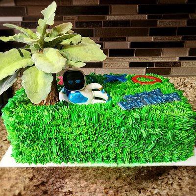 2 Layer 1/4" Sheet Cake Simple Decor 