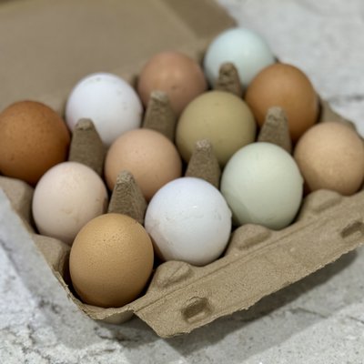 One Dozen Eggs - Unwashed