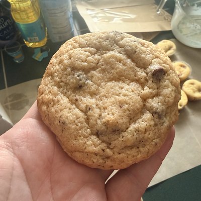 Chocolate Chip Cookie 