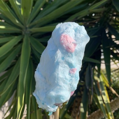 Cotton candy Pickle 