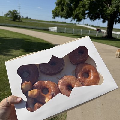 Dolly’s Donut SINGLE