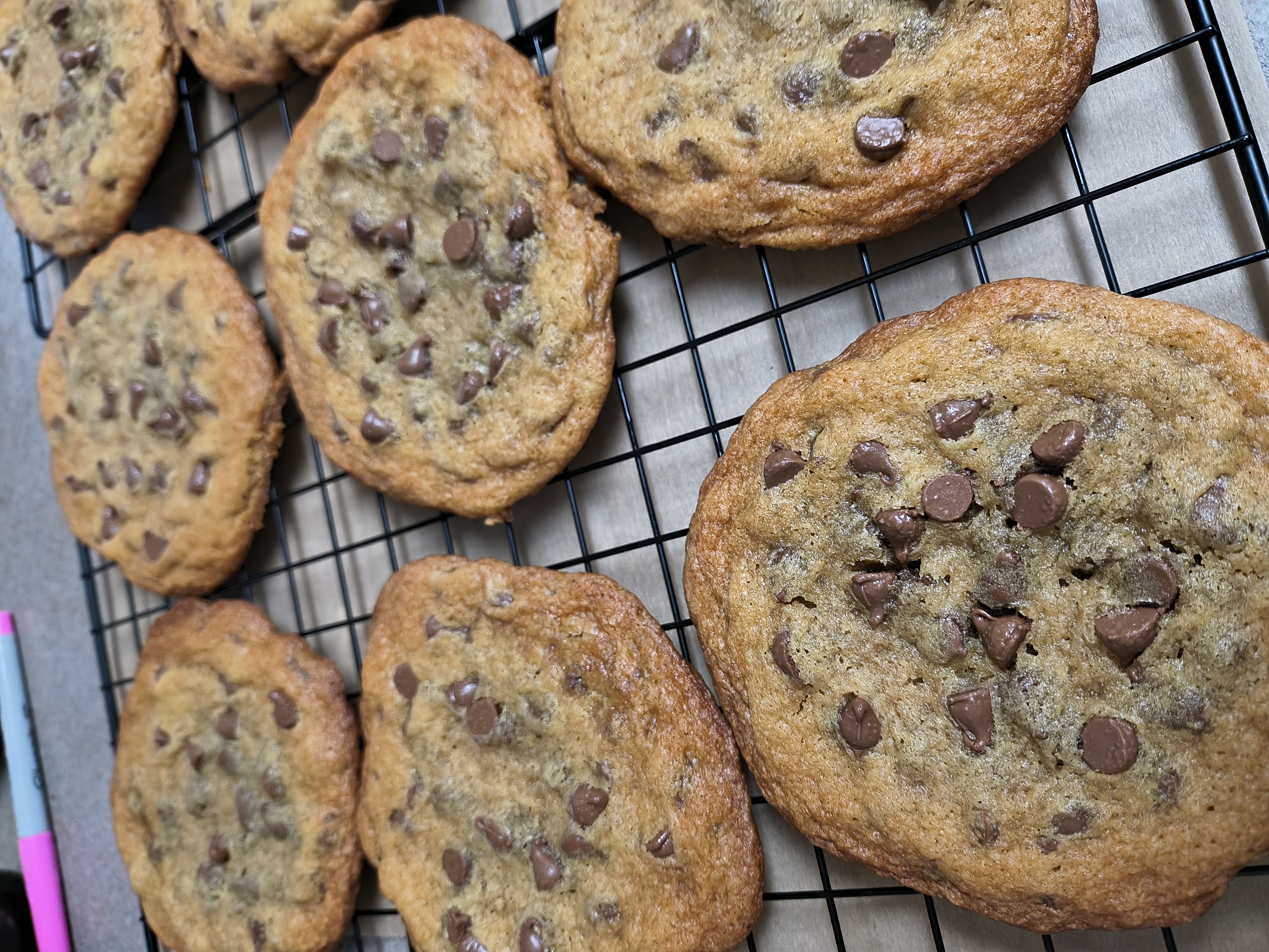 Chocolate Chip