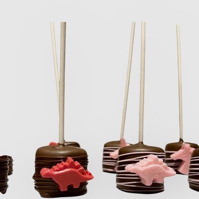 Chocolate Covered Marshmallows 