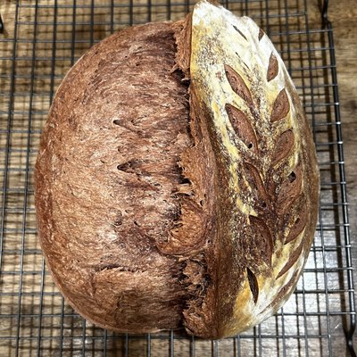 Double Chocolate Sourdough 