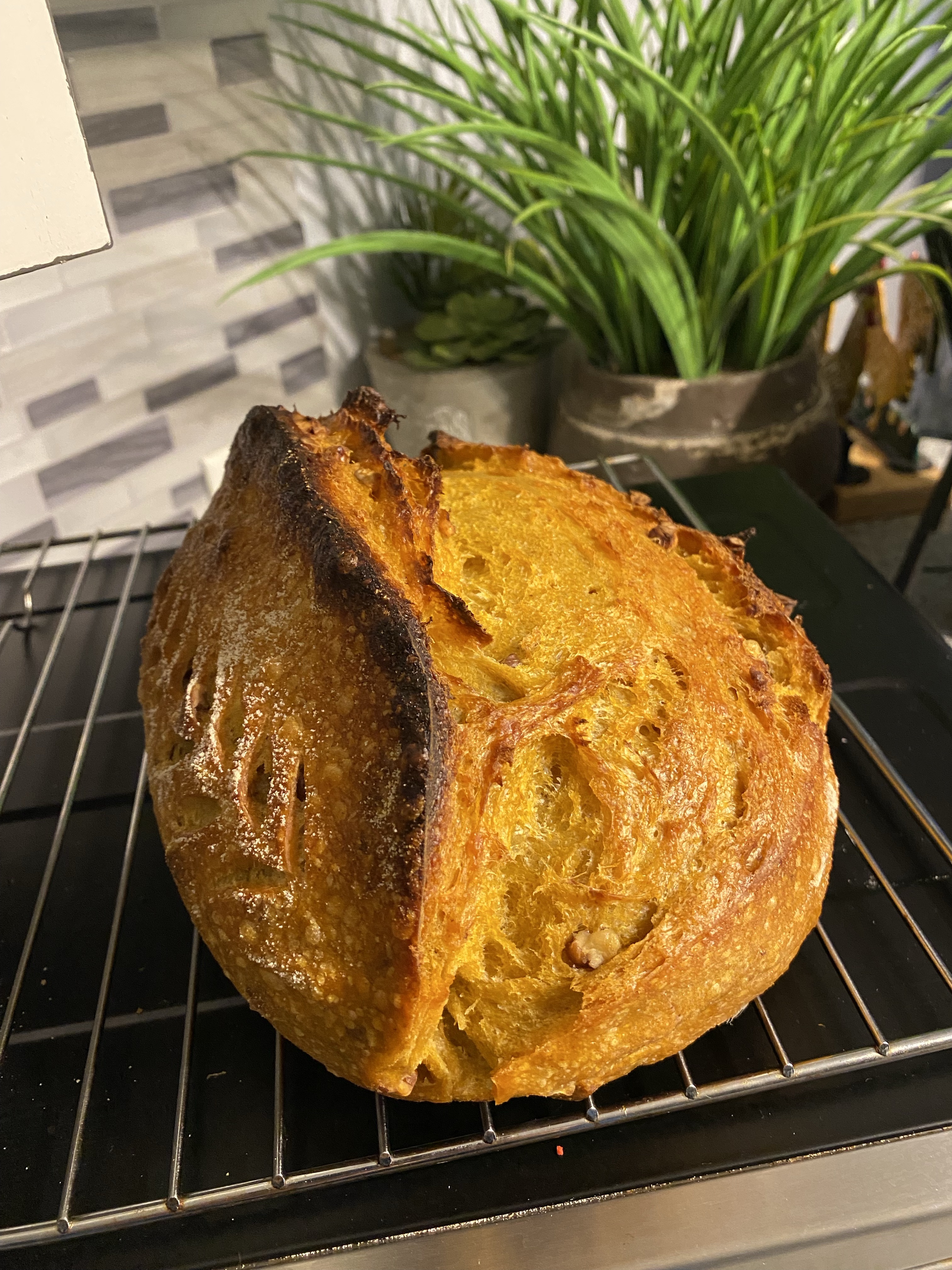 Pumpkin Spice Sourdough with Pecans
