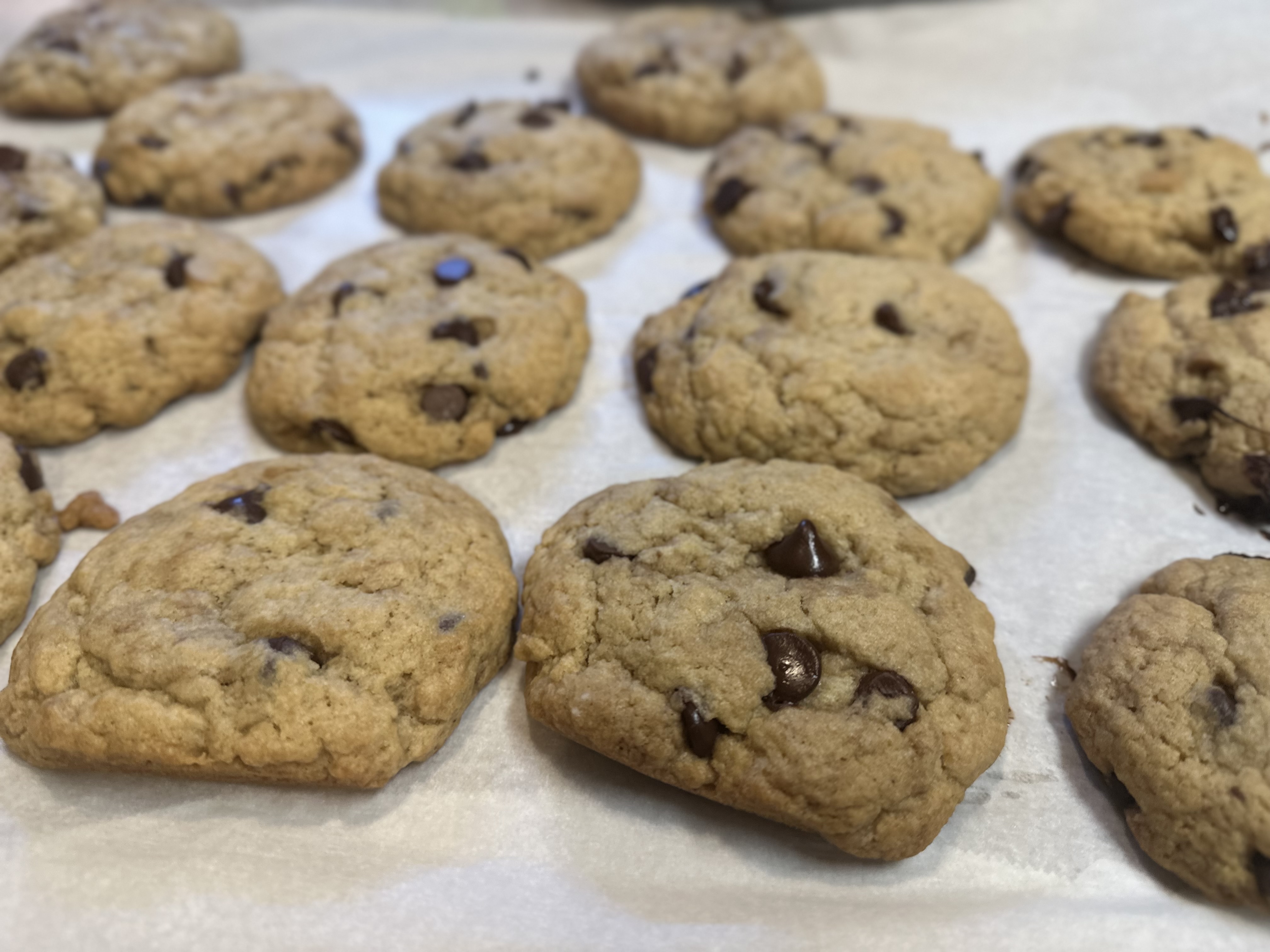 Sourdough Chocolate Chip Cookies