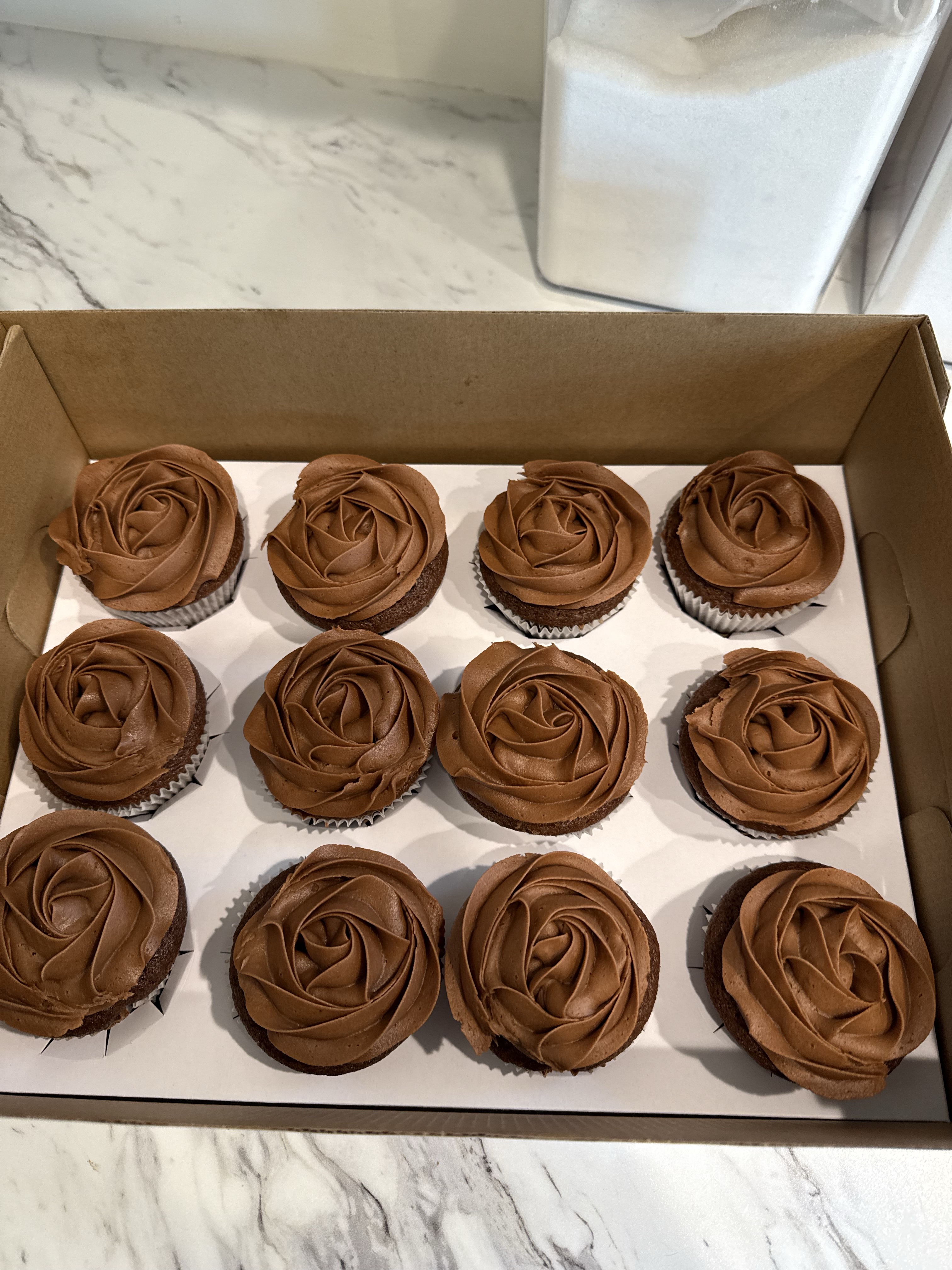 Chocolate Cupcakes