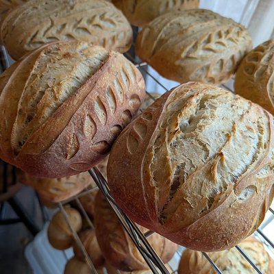 Rosemary Olive Oil Sourdough Bread