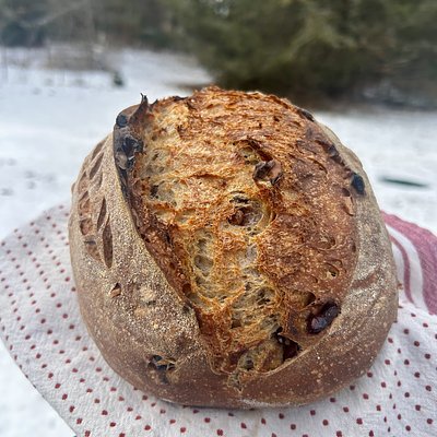 Cranberry & Toasted Walnut Sourdough