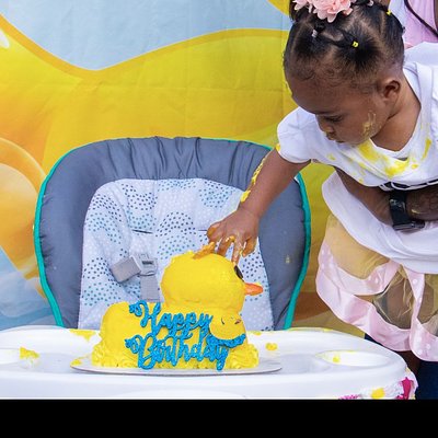 Smash Cake + Mini Session
