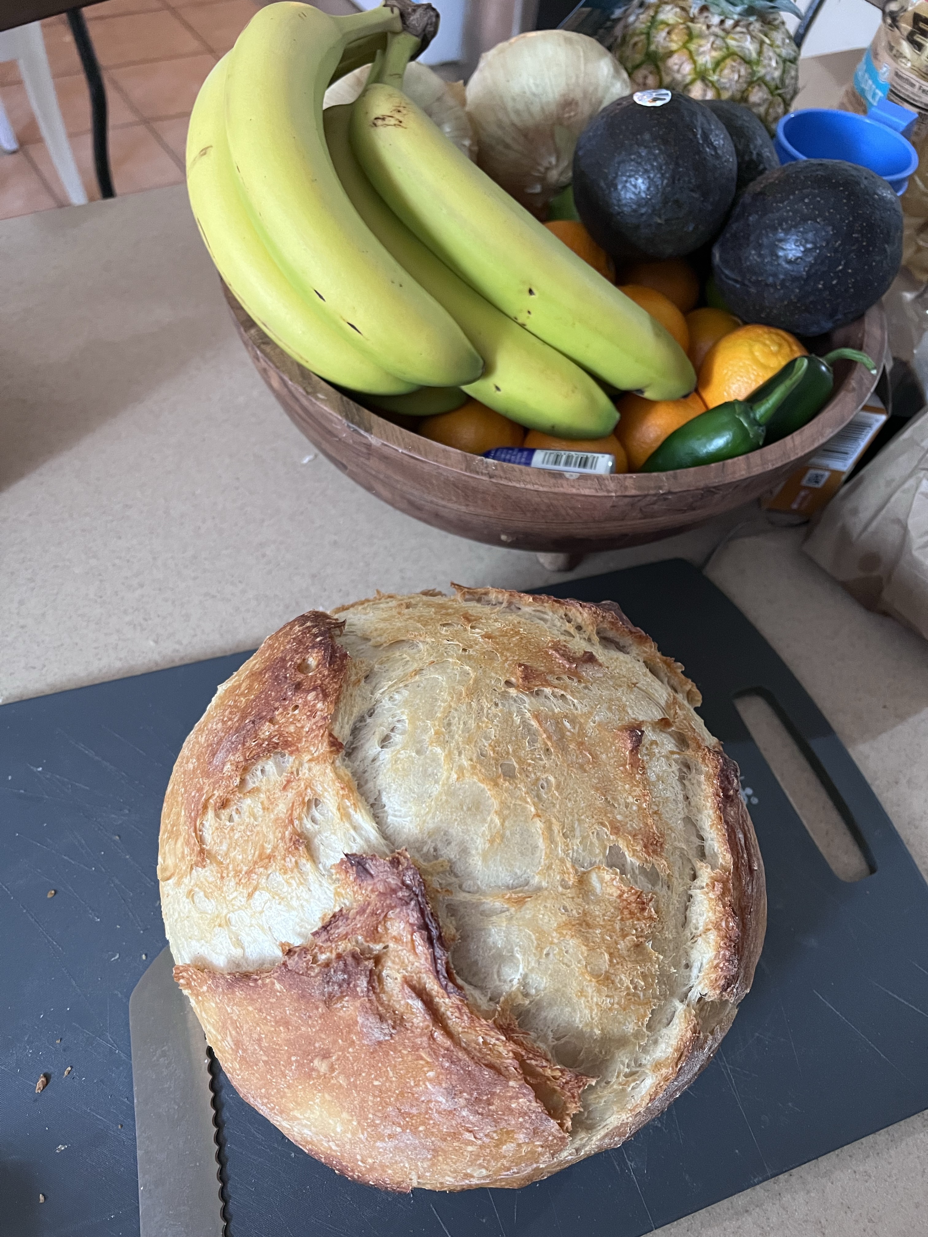 Sour Dough Loaf