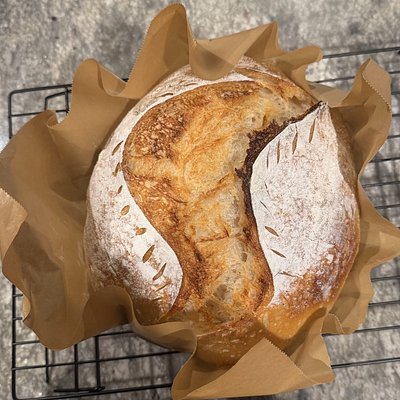 Plain Loaf - Full