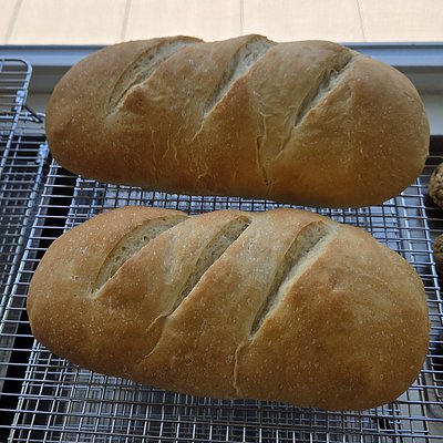 Sourdough French Bread 