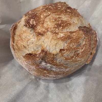 Cranberry Walnut Sourdough Round