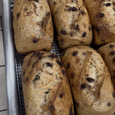 Chocolate Chip Sourdough
