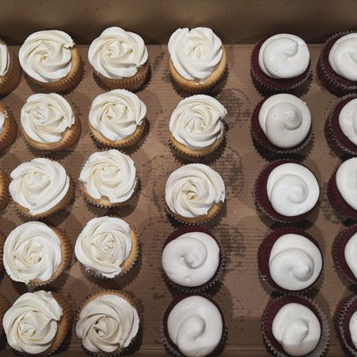 2 Dozen Cupcakes (Basic)