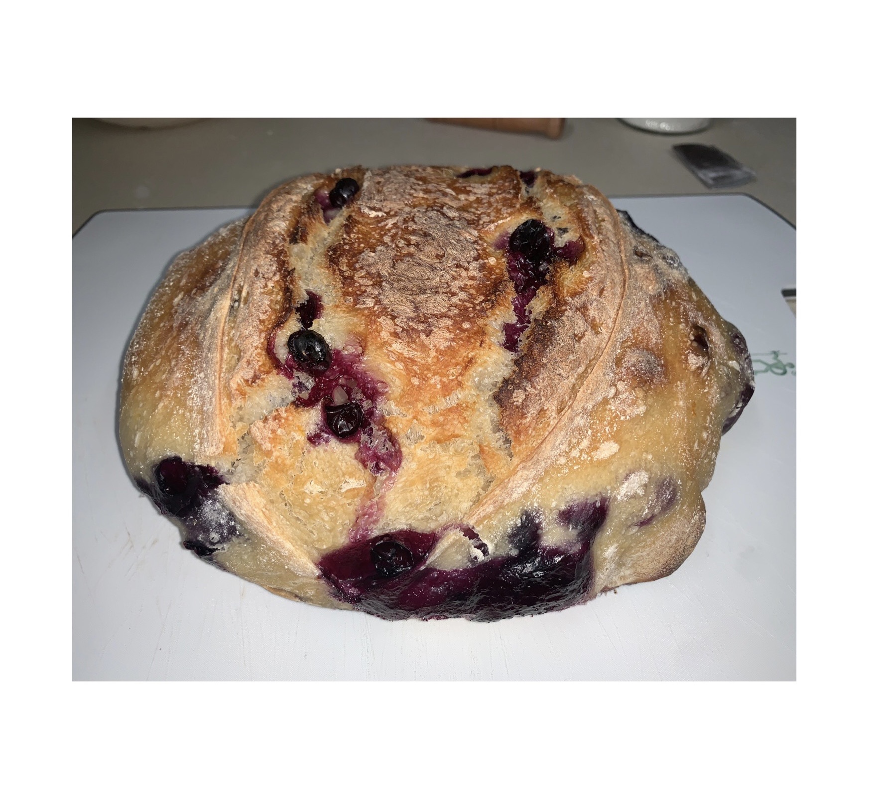 Lemon Blueberry