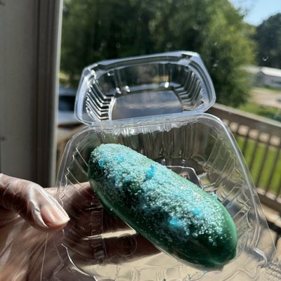 Candied Pickle 