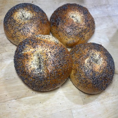 (4) Poppy Seed Sourdough Bagels