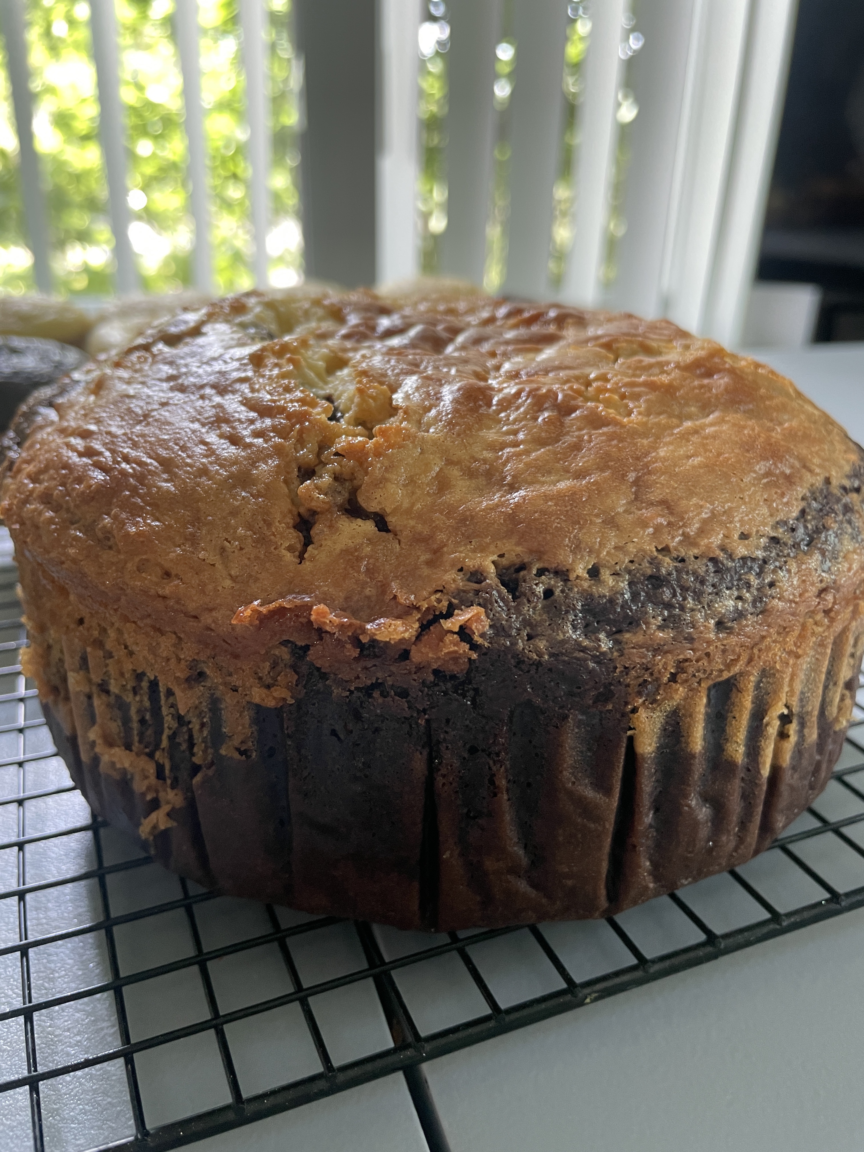 7”x 2” Brownie cake