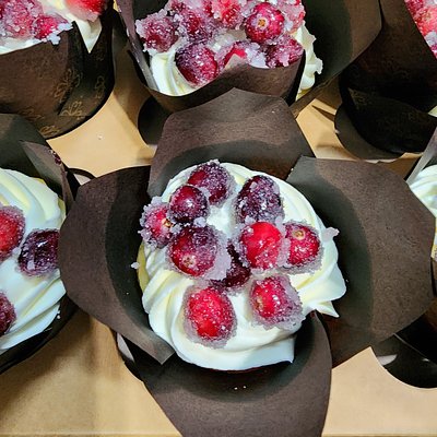 Cranberry Cheesecake 