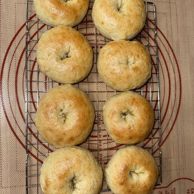 Sourdough Plain Bagels- 8 Pack