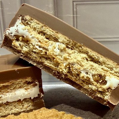 Chocolate Covered S’mores