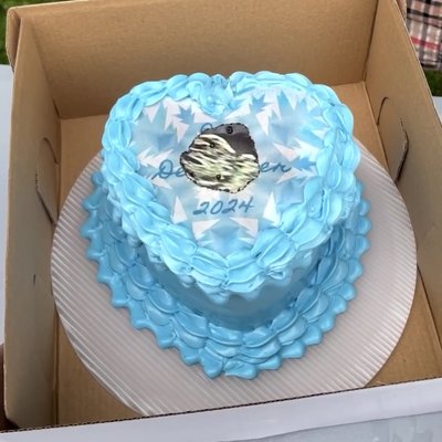 Burn Away Cakes 