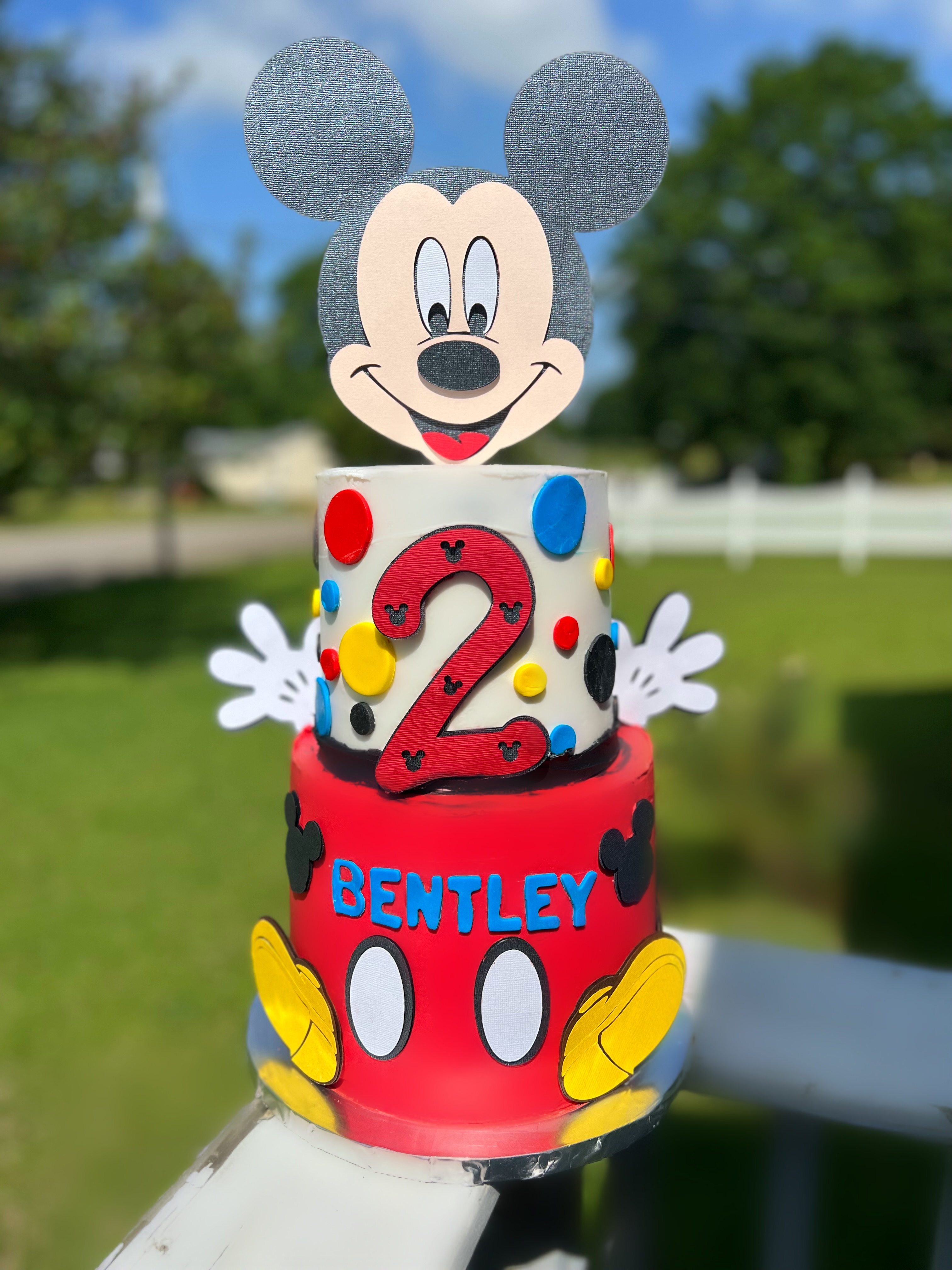 Tiered Themed cakes 