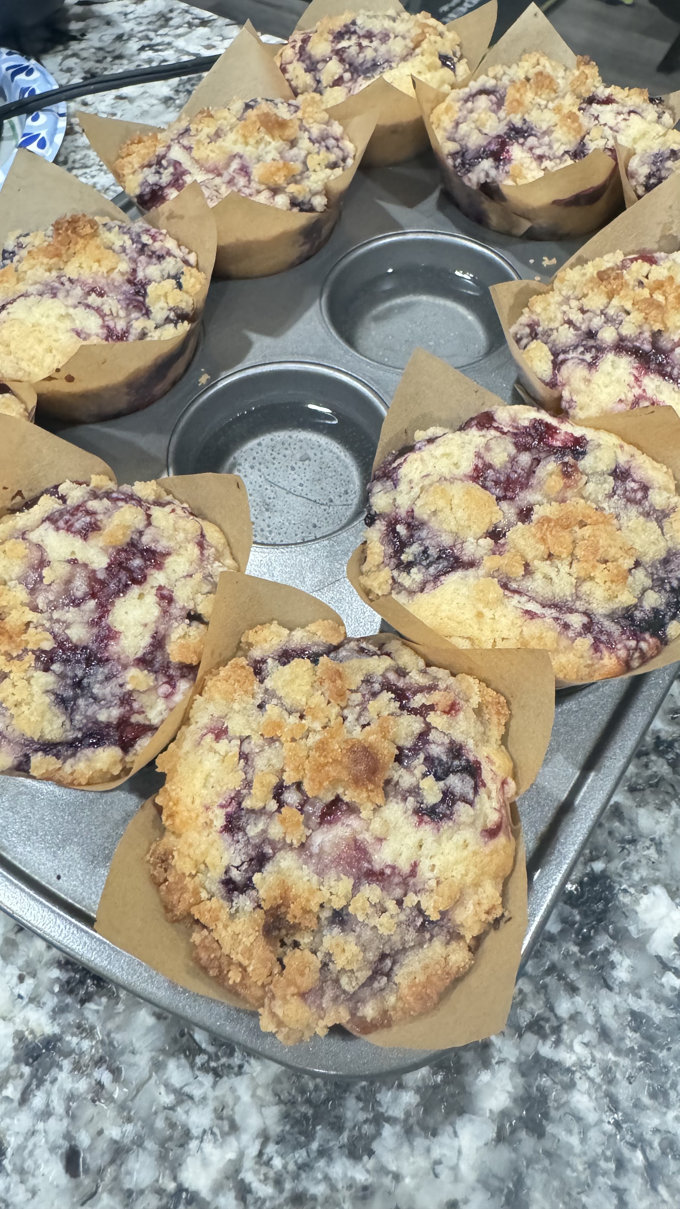 Blueberry Muffins With Streusel Topping