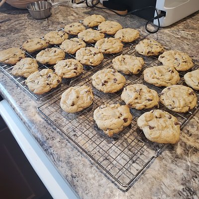 Chocolate Chip 