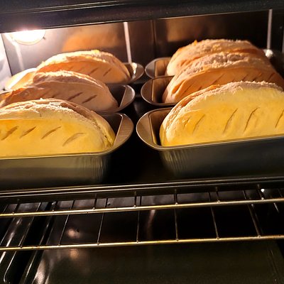 Millie Hope's Sourdough Sandwich Loaf