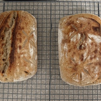Regular Sourdough Bread