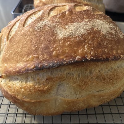 Sourdough (Custom Flavor Request)
