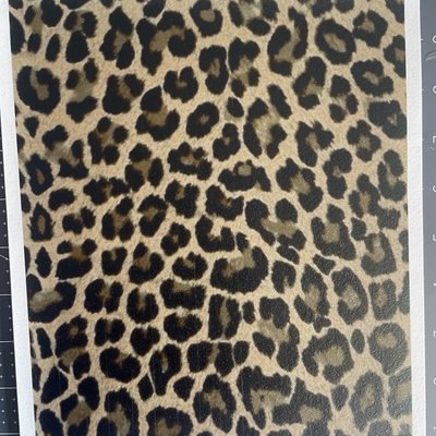 Cheetah Print 